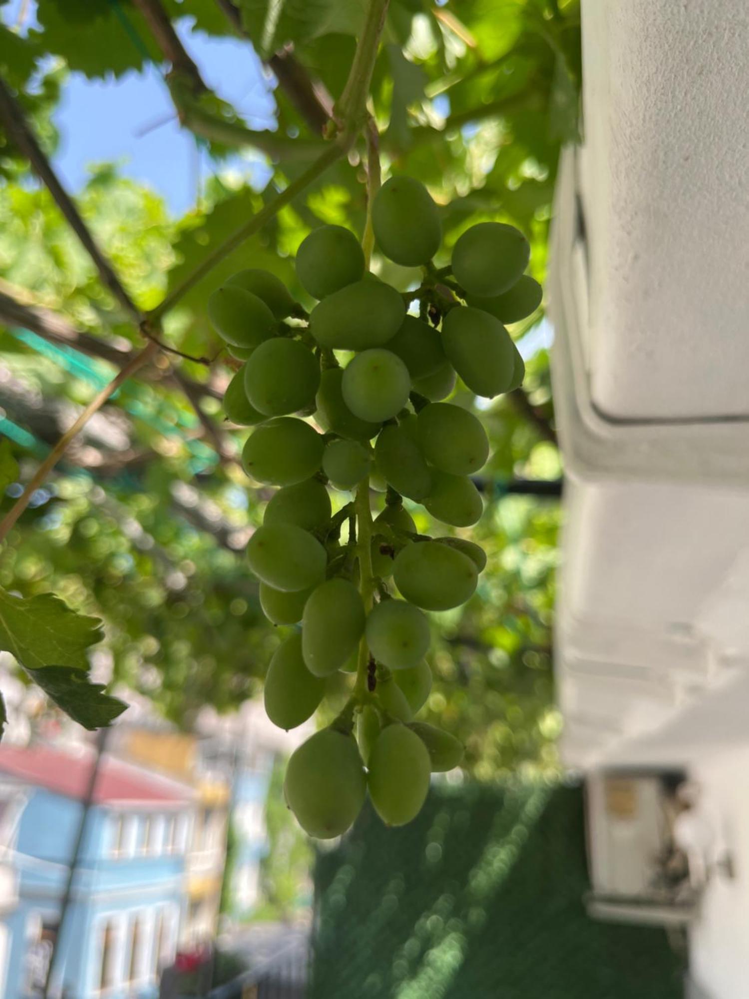 Taksim Neo Pera Suites Estambul Exterior foto
